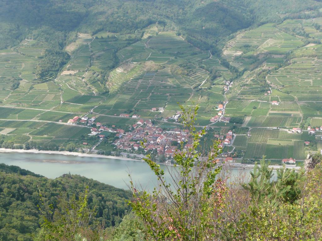 Weingut Langmayer Wösendorf Esterno foto