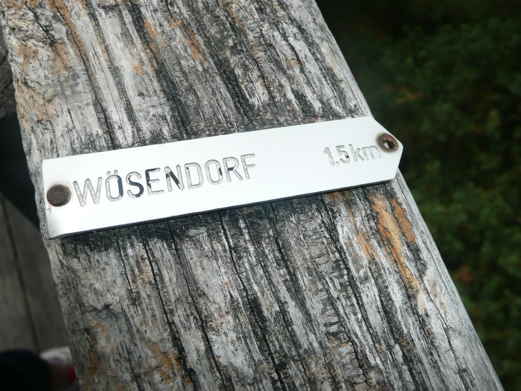 Weingut Langmayer Wösendorf Esterno foto