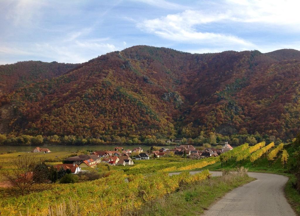 Weingut Langmayer Wösendorf Esterno foto