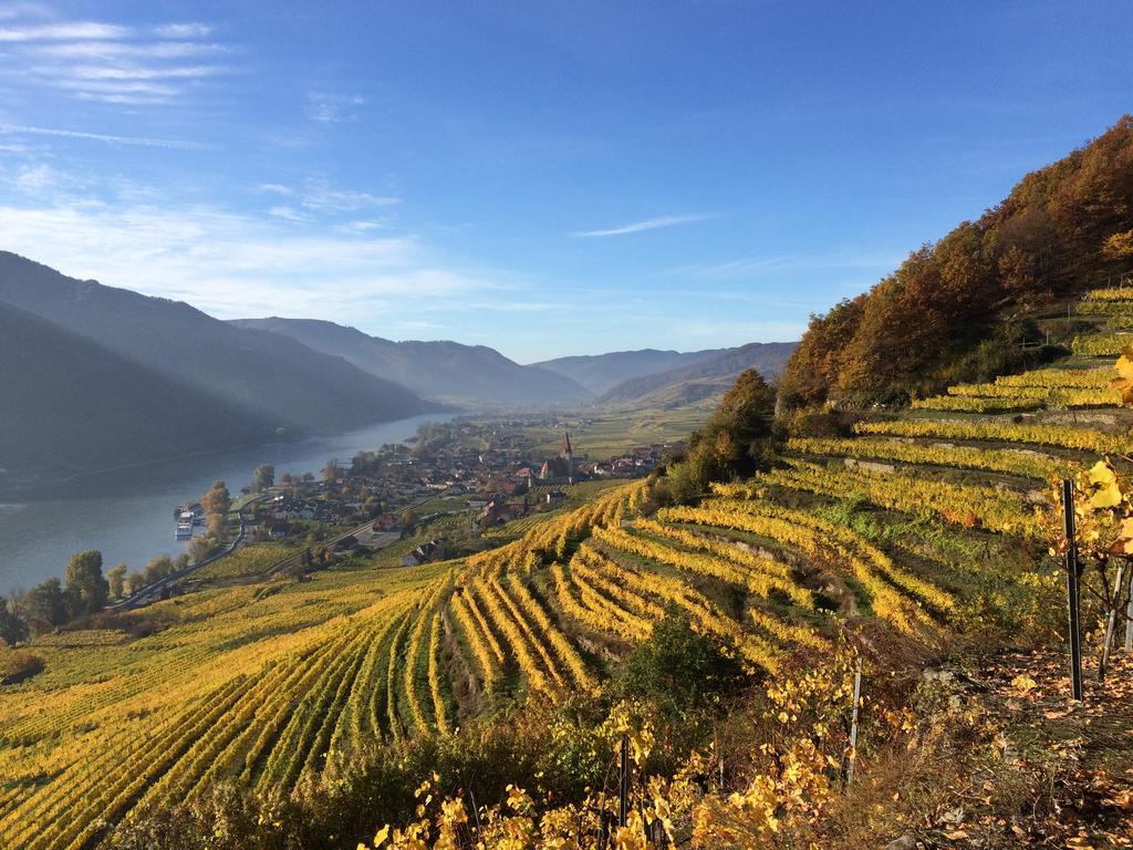 Weingut Langmayer Wösendorf Esterno foto